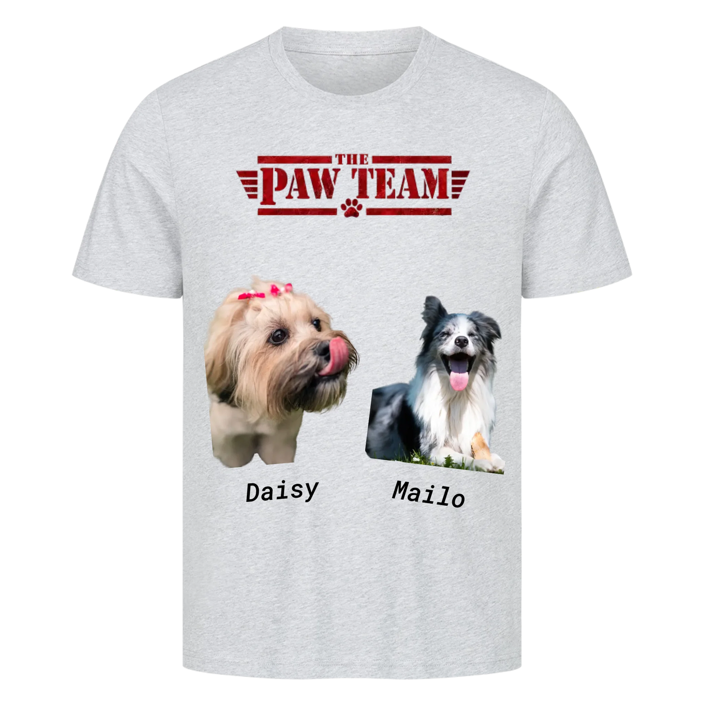 The Paw Team
