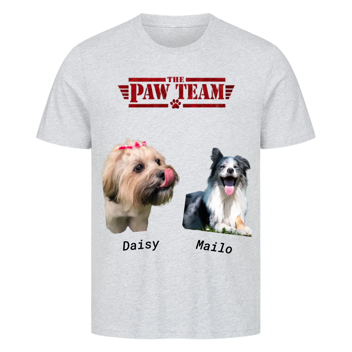 The Paw Team