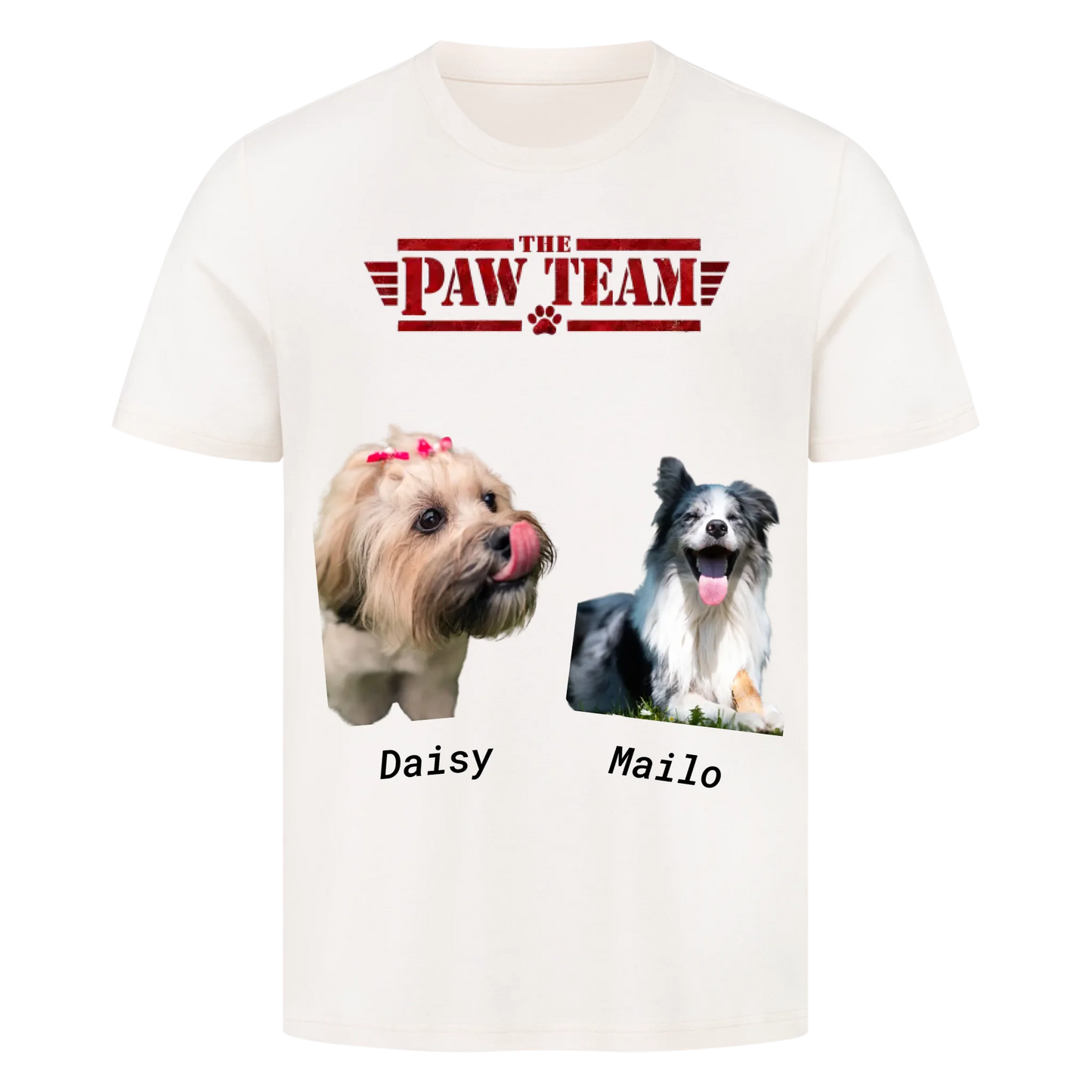 The Paw Team