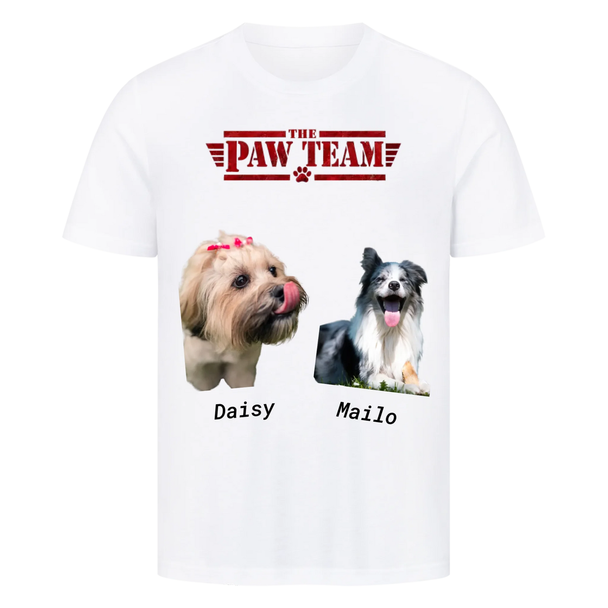 The Paw Team